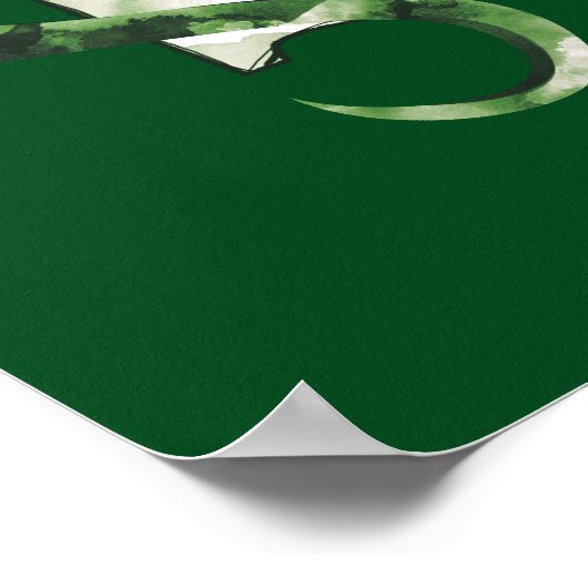 Harry Potter | Waterverf SLYTHERIN™-slang Poster (Hoek)