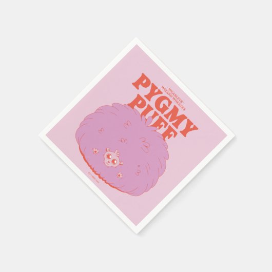HARRY POTTER™ | Weasley's Wizard Pygmy Puff Servet (Hoek)