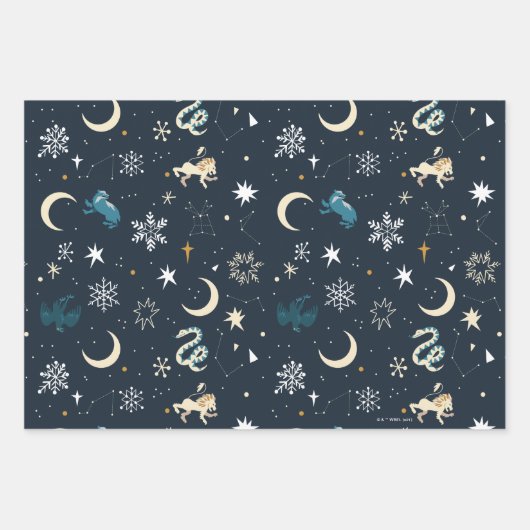 Harry Potter | Winter Constellation Pattern Inpakpapier Vel (Voorkant 3)