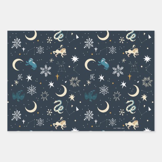 Harry Potter | Winter Constellation Pattern Inpakpapier Vel (Voorkant 2)