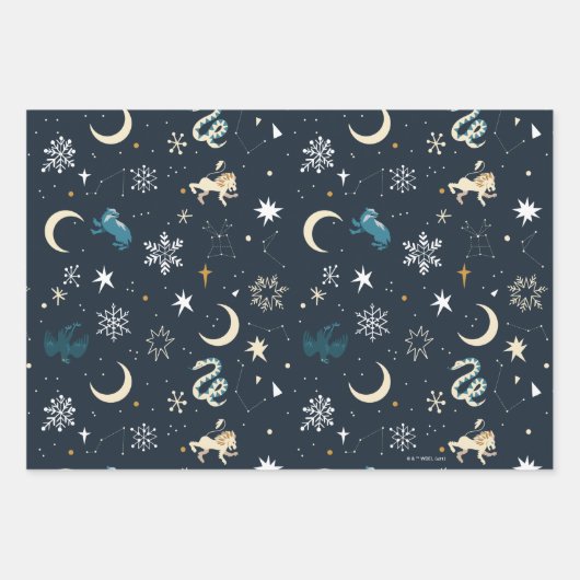 Harry Potter | Winter Constellation Pattern Inpakpapier Vel (Voorkant)