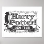 Harry Potter. Zo lang is het al... Poster (Voorkant)