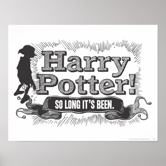 Harry Potter. Zo lang is het al... Poster (Voorkant)
