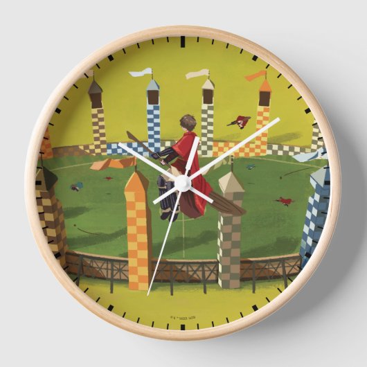 HARRY POTTER™ zoekt de Golden Snitch (Voorkant)