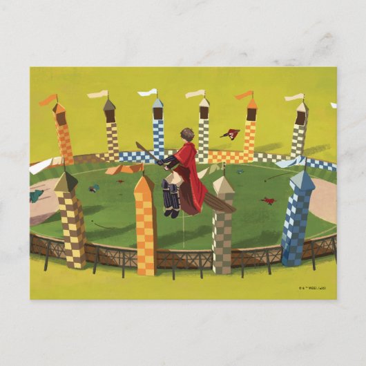 HARRY POTTER™ zoekt de Golden Snitch Briefkaart (Voorkant)