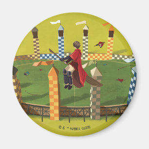 HARRY POTTER™ zoekt de Golden Snitch Magneet