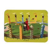 HARRY POTTER™ zoekt de Golden Snitch Magneet (Horizontaal)