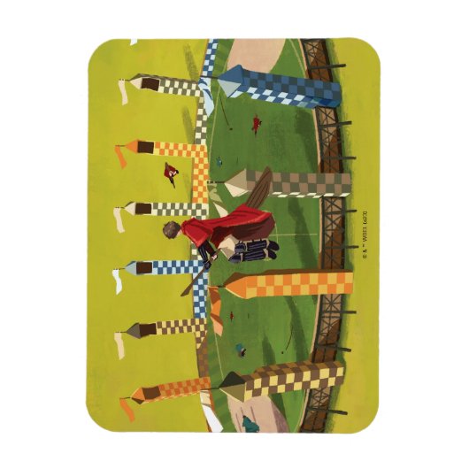 HARRY POTTER™ zoekt de Golden Snitch Magneet (Verticaal)