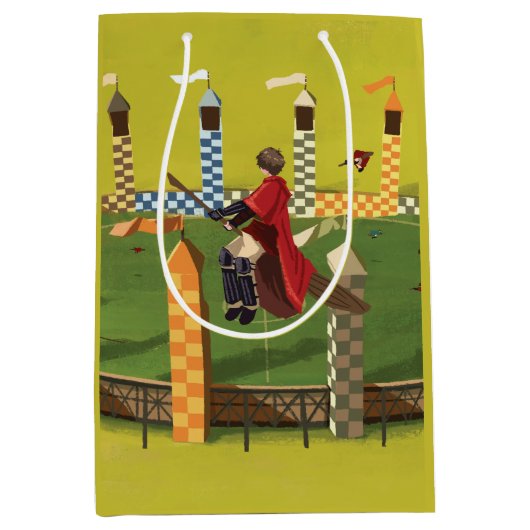 HARRY POTTER™ zoekt de Golden Snitch Medium Cadeauzakje (Voorkant)