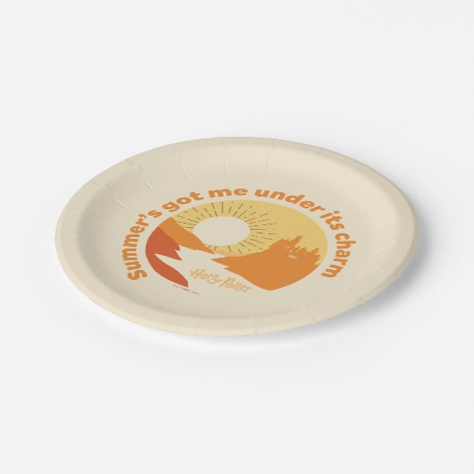 HARRY POTTER™ | Zomer Magic HOGWARTS™ Castle Papieren Bordje (Gekanteld)