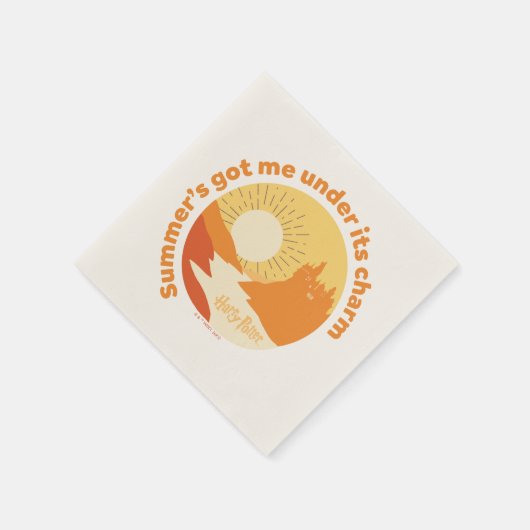 HARRY POTTER™ | Zomer Magic HOGWARTS™ Castle Servet (Hoek)