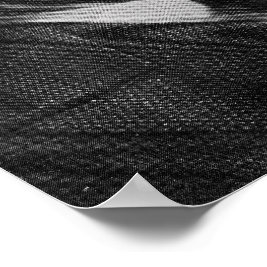 Harry Price Poster (Hoek)