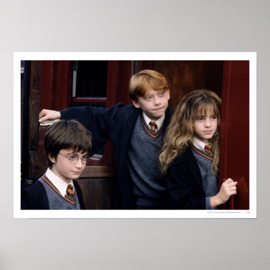 Harry, Ron en Hermelien Poster (Voorkant)