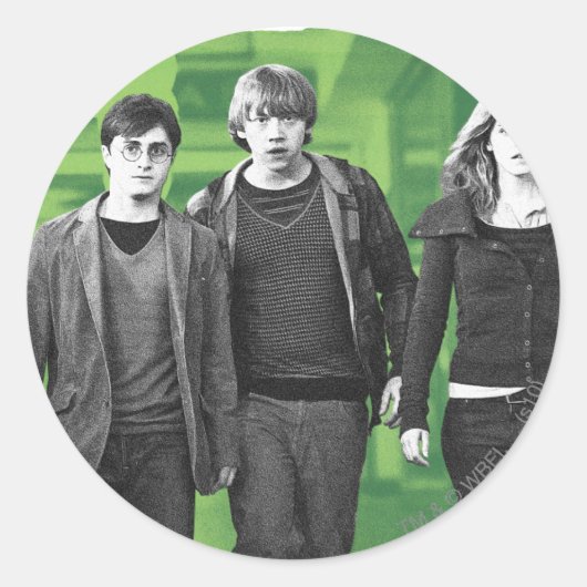 Harry, Ron en Hermione 1 Ronde Sticker (Voorkant)