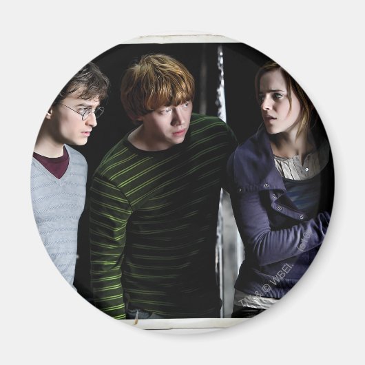 Harry, Ron en Hermione 4 Magneet (Voorkant)