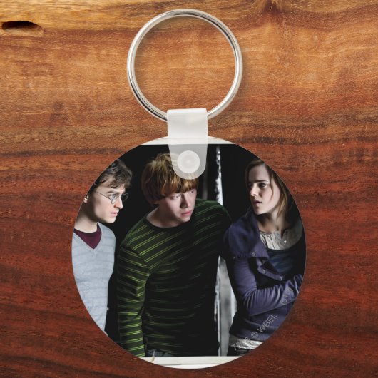 Harry, Ron en Hermione 4 Sleutelhanger (Voorkant)