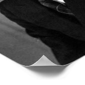 Harry S. Truman 33rd President Poster (Hoek)