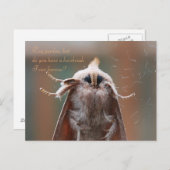 Harry the Hairy Moth Briefkaart (Voorkant / Achterkant)