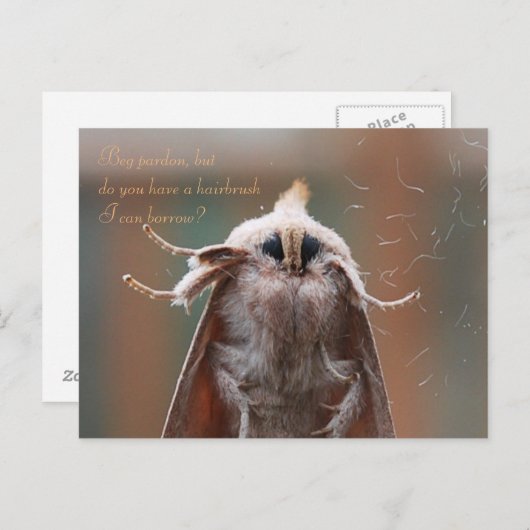 Harry the Hairy Moth Briefkaart (Voorkant / Achterkant)