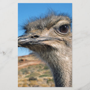 Harry the Happy Ostrich Briefpapier