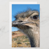 Harry the Happy Ostrich Briefpapier (Voorkant / Achterkant)