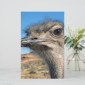 Harry the Happy Ostrich Briefpapier (Staand voorkant)