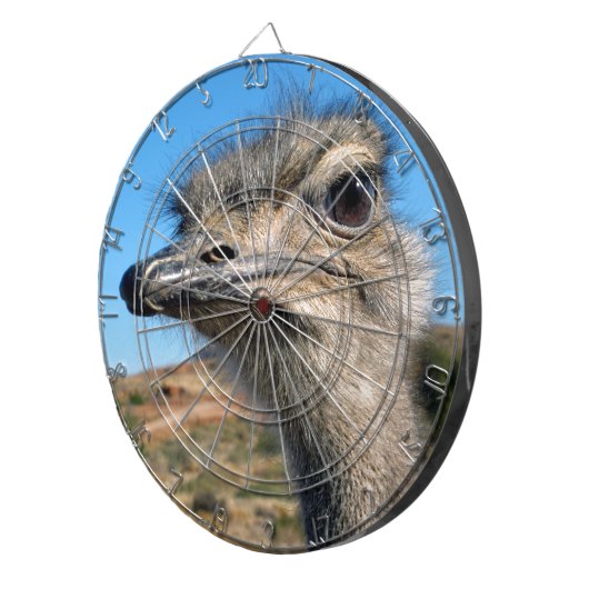 Harry the Happy Ostrich Dartbord (Voorkant Rechts)