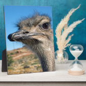 Harry the Happy Ostrich Fotoplaat (Zijkant)