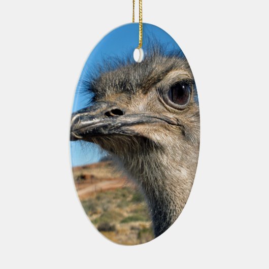 Harry the Happy Ostrich Keramisch Ornament (Rechts)