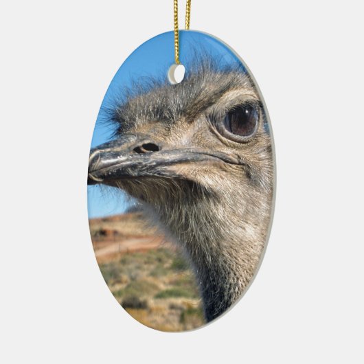 Harry the Happy Ostrich Keramisch Ornament (Links)