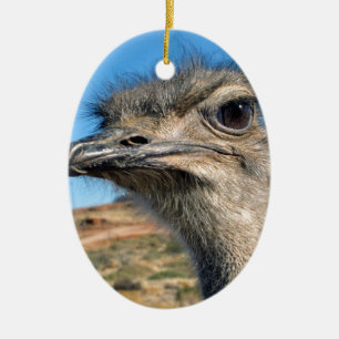 Harry the Happy Ostrich Keramisch Ornament