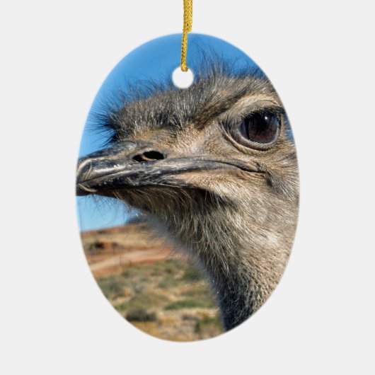 Harry the Happy Ostrich Keramisch Ornament (Voorkant)