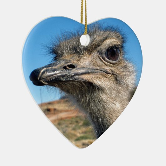 Harry the Happy Ostrich Keramisch Ornament (Rechts)