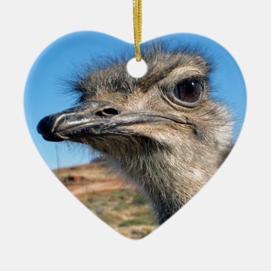 Harry the Happy Ostrich Keramisch Ornament (Voorkant)