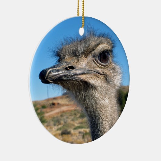 Harry the Happy Ostrich Keramisch Ornament (Rechts)