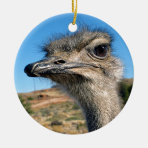Harry the Happy Ostrich Keramisch Ornament