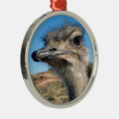 Harry the Happy Ostrich Metalen Ornament (Rechts)