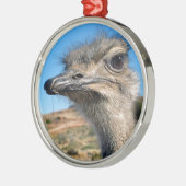 Harry the Happy Ostrich Metalen Ornament (Links)