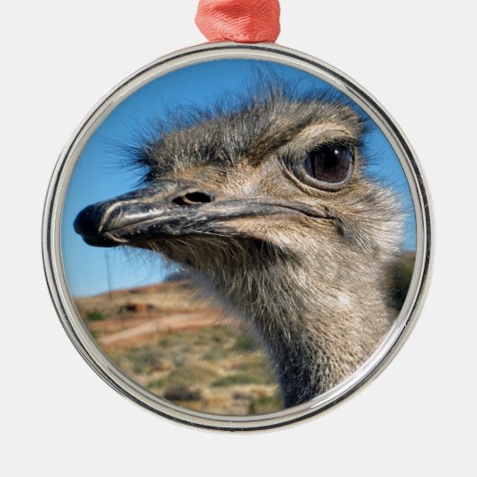 Harry the Happy Ostrich Metalen Ornament (Voorkant)