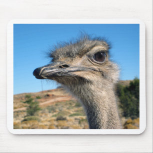 Harry the Happy Ostrich Muismat