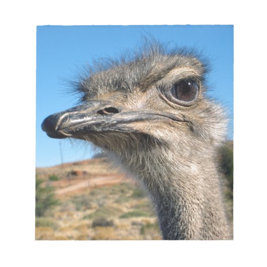 Harry the Happy Ostrich Notitieblok (Voorkant)