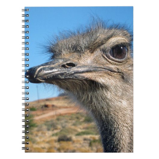 Harry the Happy Ostrich Notitieboek (Voorkant)