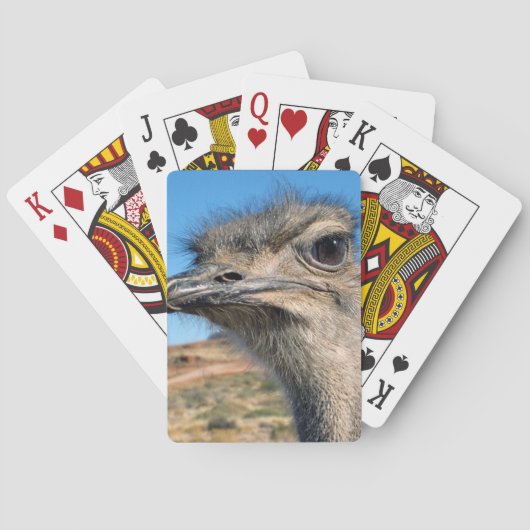 Harry the Happy Ostrich Pokerkaarten (Achterkant)
