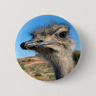 Harry the Happy Ostrich Ronde Button 5,7 Cm