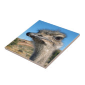 Harry the Happy Ostrich Tegeltje (Zijkant)