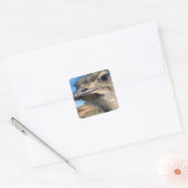 Harry the Happy Ostrich Vierkante Sticker (Envelop)