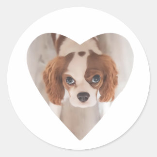Hart Afbeelding Ronde Sticker