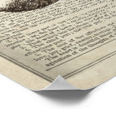 Hart anatomie met blauwe bloemen woordenboek kunst poster (Hoek)