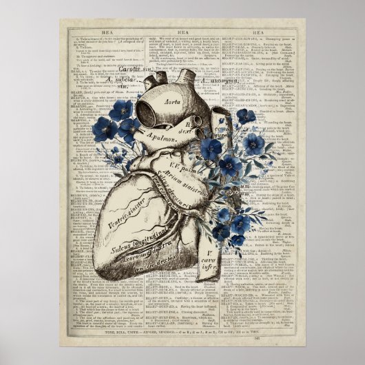 Hart anatomie met blauwe bloemen woordenboek kunst poster (Voorkant)