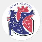Hart Anatomie- Ronde Sticker (Voorkant)